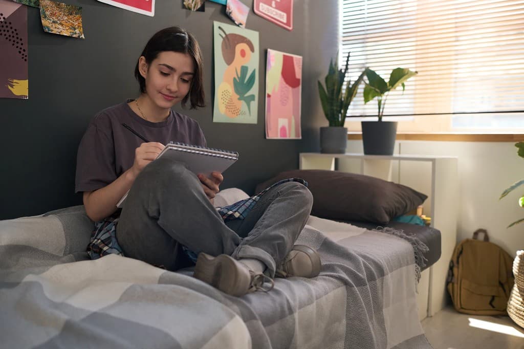 Transitional Housing Support program illustration